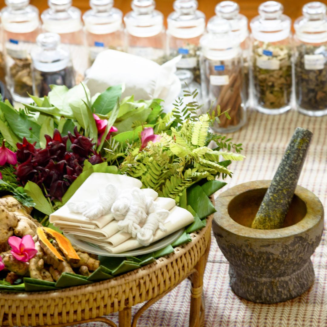 Ayurvedic garden with carefully cultivated medicinal plants, promoting traditional Sri Lankan healing practices and biodiversity preservation.